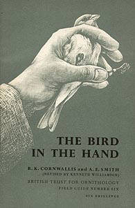 The Bird in the Hand
